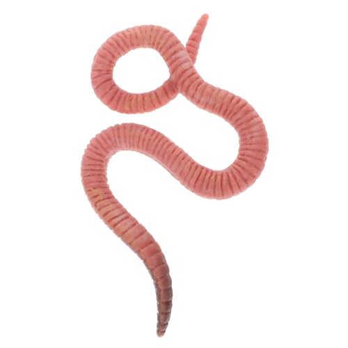 Milisten Simulation Regenwurm Modell Für Realistische Insektenfigur Dekoration Für Kinderzimmer Und Schlafzimmer Lernspielzeug Entdeckung Von Insekten von Milisten