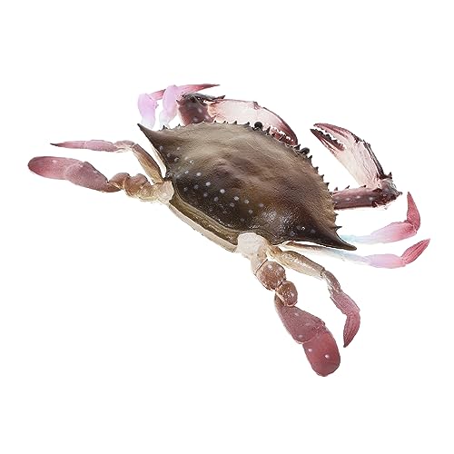 Milisten Simulationskrabbenmodell Aquarium Dekoration Animal Figures Geburtstagsgeschenke Fischbecken-Dekoration Rollenspiel entzückende künstliche Krabbe Krabbendekore PVC Milisten Simulationskrabbenmodell Aquarium Dekoration Animal Figures Geburtstagsgeschenke Fischbecken-Dekoration Rollenspiel entzückende künstliche Krabbe Krabbendekore PVC von Milisten