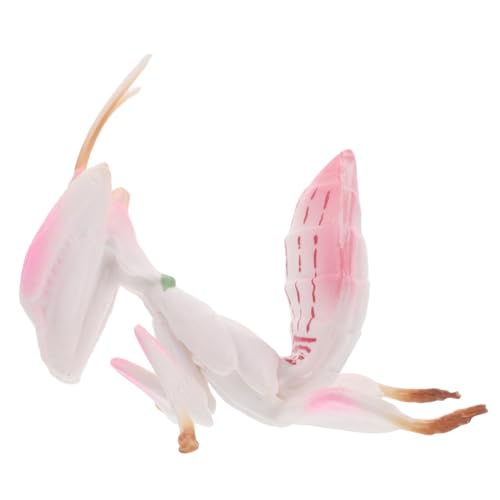 Milisten Simulationstiermodell Plastik Insekt Desktop- Insektenspielzeug realistische Mantis-Statue Desktop-Mantis-Statue Bug-Modell Desktop-Mantis-Figur Tierstatue Figur Rosa Milisten Simulationstiermodell Plastik Insekt Desktop- Insektenspielzeug realistische Mantis-Statue Desktop-Mantis-Statue Bug-Modell Desktop-Mantis-Figur Tierstatue Figur Rosa von Milisten