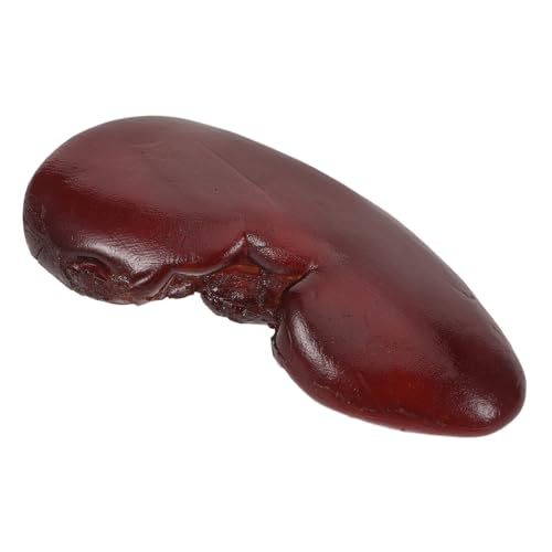 Milisten Simulierte Schweine Taille Dekoration Gefälschte Niere Zauberer Requisite Halloween Cosplay Zubehör Nieren Requisite Schreckliche Halloween Milisten Simulierte Schweine Taille Dekoration Gefälschte Niere Zauberer Requisite Halloween Cosplay Zubehör Nieren Requisite Schreckliche Halloween von Milisten