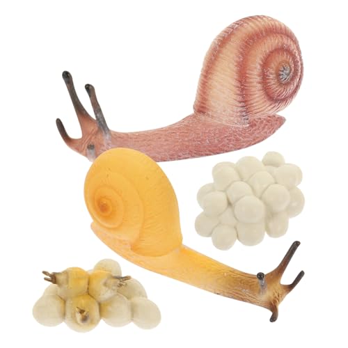 Milisten Snail Growth Cycle Modellspielzeug Lebenszyklus Lernspielzeug Biologisch Realistische Schneckenfiguren Pädagogisches Milisten Snail Growth Cycle Modellspielzeug Lebenszyklus Lernspielzeug Biologisch Realistische Schneckenfiguren Pädagogisches von Milisten