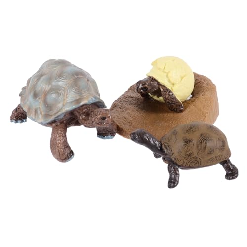 Milisten Teiliges Schildkröten Lebenszyklus Modell Pädagogisches Lernspielzeug für Realistische Tierfigur Deko Kognitives Wachstumszyklus Lernset von Milisten