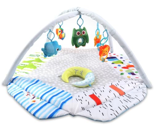 Milly Mally TinyMini Bildungsmatte Spielmatte mit Spielbogen abnehmbarem Babyspielzeug Sensorische Entwicklung sicherer Spielplatz Unterstützung motorischer Entwicklung Milly Mally TinyMini Bildungsmatte Spielmatte mit Spielbogen abnehmbarem Babyspielzeug Sensorische Entwicklung sicherer Spielplatz Unterstützung motorischer Entwicklung von Milly Mally