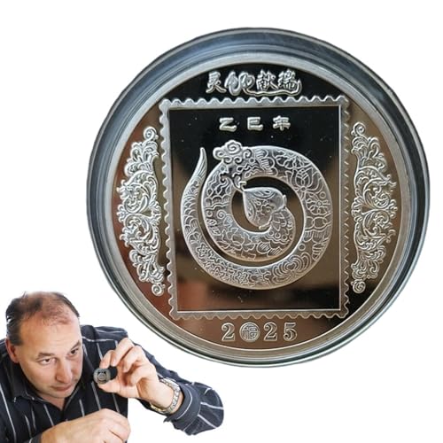 Chinese Snake Year Coin, Chinese Coin, Lunar Year Coin, Good Luck Keepsake Coin, Chinese New Year Souvenir, Gedenkmünze, 2024 Chinesische Schlangenmünze, Coin for Family Chinese Snake Year Coin, Chinese Coin, Lunar Year Coin, Good Luck Keepsake Coin, Chinese New Year Souvenir, Gedenkmünze, 2024 Chinesische Schlangenmünze, Coin for Family von Mimoqk