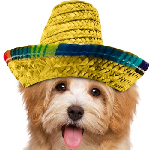 Mimoqk Mini Sombreros | Mexikanische Hüte gewebt für Party | Kostümzubehör mit breiter Krempe mit Stirnband für Geburtstage und Feiern Mimoqk Mini Sombreros | Mexikanische Hüte gewebt für Party | Kostümzubehör mit breiter Krempe mit Stirnband für Geburtstage und Feiern von Mimoqk