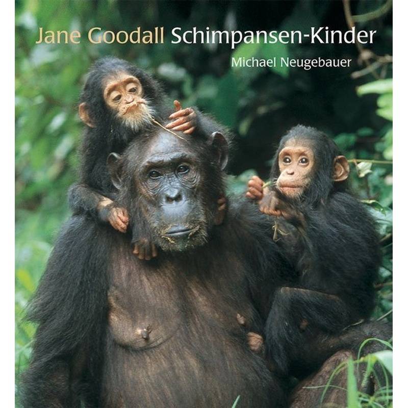 Schimpansen-Kinder von Minedition