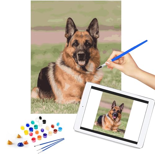 Malen Nach Zahlen, Eigenes Bild Personalisiert Erwachsene Foto Painting Bilder,Hochzeitsfotos, Jahrestag, Liebhaber, Haustier, Gedenken, etwas, an das man sich erinnern sollte,(Mit Rahmen 50 * 40 cm) von MingSH