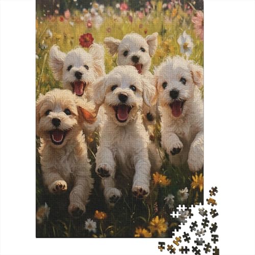 Malteserr Hund Puzzle 1000-teilige Schwer Puzzle Spielzeug Pädagogisches Spiel Impossible Herausforderungsspielzeug Für Erwachsene Kinder 1000pcs (75x50cm) von MingSheng