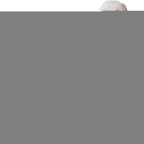 Mingchengheng Kuscheltier Schildkröte | Mit Plüschschildkröte Spielzeug,Kuscheliges Hautfreundliches Dekokissen Reisebegleiter Für Kinderzimmer Babygeschenk von Mingchengheng