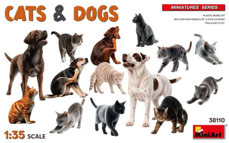 Cats & Dogs Cats & Dogs von Miniart
