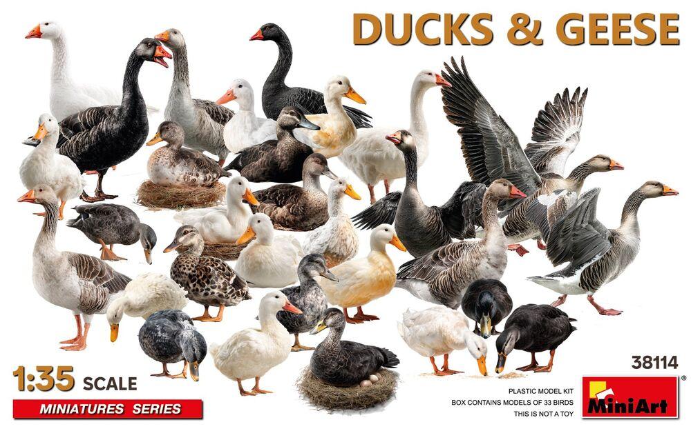 Ducks & Geese Ducks & Geese von Miniart