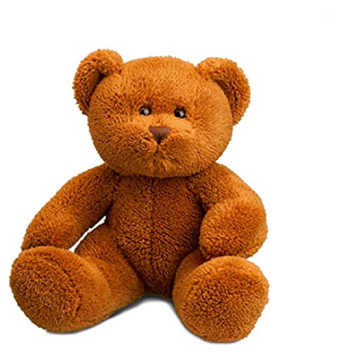 Minifeet Bär Monika - Teddy Kuscheltier Plüschtier Stofftier Spielzeug - kuschelig weich - Geschenk für Baby Kinder Freunde Schulstart Einschulung | Höhe: 20 cm von Minifeet