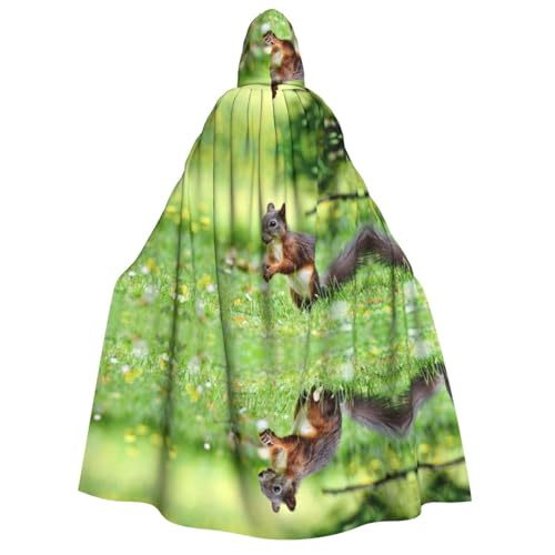 Miniks Niedlicher Eichhörnchen-bedruckter Kapuzenumhang für Weihnachten, Halloween, Cosplay, Kostüm für Erwachsene, Süßes Eichhörnchen, Einheitsgröße von Miniks