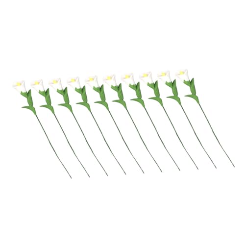 Mipcase 10Stücke Blumenmodell Teiliges für Puppenstubenmöbel Deko für Miniaturszenen Stilvolle Gartenmöbel und Kreative Geschenkideen von Mipcase