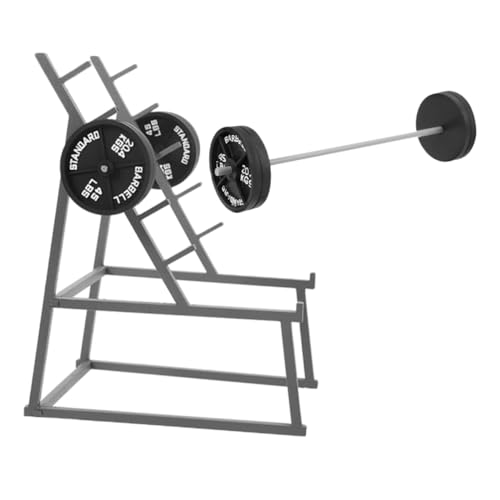 Mipcase 1Satz Langhantel für Puppenhaus Teiliges Zubehör Langhantel Hanteln Dekorative Fitnessgeräte für Kreative Szenen für Fitnessräume Mipcase 1Satz Langhantel für Puppenhaus Teiliges Zubehör Langhantel Hanteln Dekorative Fitnessgeräte für Kreative Szenen für Fitnessräume von Mipcase