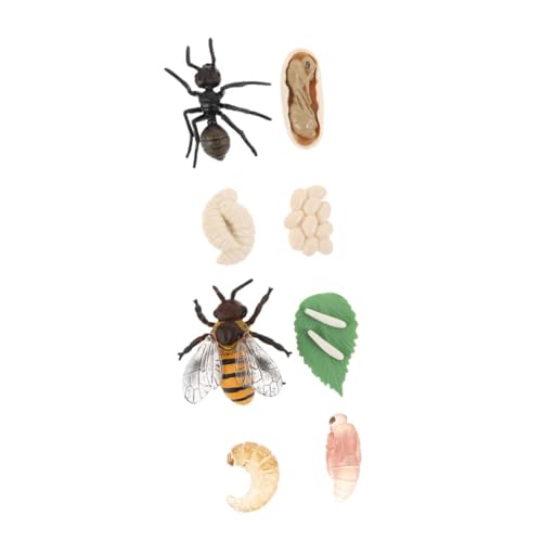 Mipcase 2Sätze Bienen und Ameisen Lebenszyklus Modelle Kognitive Insektenmodelle für Lehrmittel zur des Biologischen Verständnisses Langlebiges Kunststoffmaterial von Mipcase