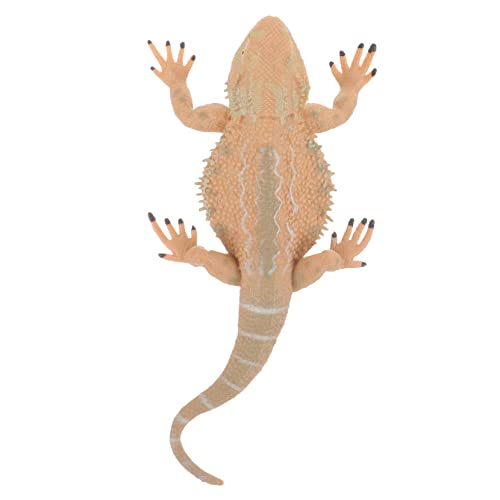 Mipcase Echsenfigur aus Kunststoff für Realistisches Bärtiges Drachenmodell und Deko für Garten Bücherregal oder Schreibtisch Pädagogisches Reptilienspielzeug zur Tierkunde Mipcase Echsenfigur aus Kunststoff für Realistisches Bärtiges Drachenmodell und Deko für Garten Bücherregal oder Schreibtisch Pädagogisches Reptilienspielzeug zur Tierkunde von Mipcase