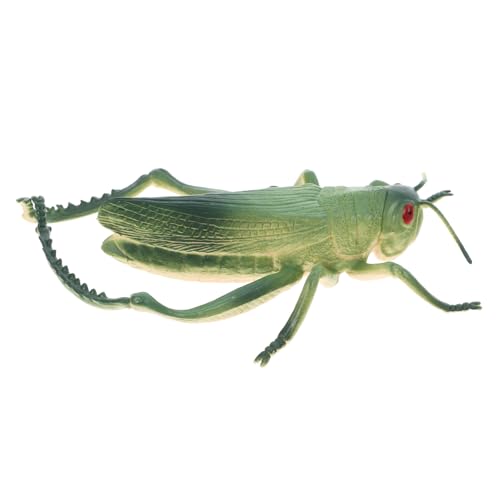Mipcase Heuschreckenverzierungen Ameisenmodell aus Kunststoff gefälschte Cricket-Requisiten Mini-Tierfiguren Fehler für Cricket-Streich falsche Fehler PVC Grün Mipcase Heuschreckenverzierungen Ameisenmodell aus Kunststoff gefälschte Cricket-Requisiten Mini-Tierfiguren Fehler für Cricket-Streich falsche Fehler PVC Grün von Mipcase