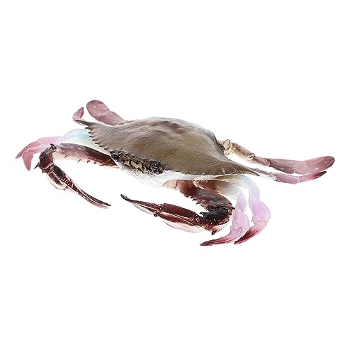 Mipcase Künstliche aus Simuliertes Krabbenmodell für Aquarium Dekoration Lernspielzeug für Partygeschenk Krabbenmodell für Meerestiere Deko Mipcase Künstliche aus Simuliertes Krabbenmodell für Aquarium Dekoration Lernspielzeug für Partygeschenk Krabbenmodell für Meerestiere Deko von Mipcase