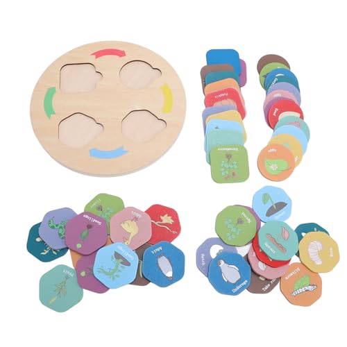Holzzyklus -Spielzeugschale für Lebenszyklus, Kleinkinder -Aktivitäten für Bildungswissenschaften, das passende Tierspiel, Holzlernen und Bildungsspielzeug für Kleinkinder Holzzyklus -Spielzeugschale für Lebenszyklus, Kleinkinder -Aktivitäten für Bildungswissenschaften, das passende Tierspiel, Holzlernen und Bildungsspielzeug für Kleinkinder von Miskall