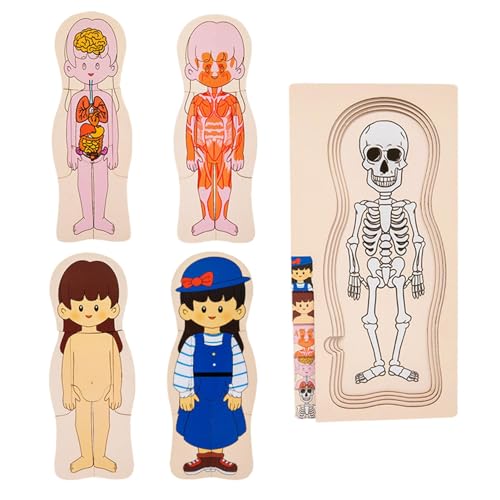 Missmisq Holzpuzzle „Menschlicher Körper“, Puzzle „Menschlicher Körper“ für Kinder | Lern-Anatomie-Puzzle-Skelett-Spielzeug - Interaktives Lernen zum Erkennen von Körperteilen. Lernrätsel zur von Missmisq