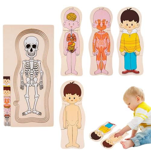 Missmisq Puzzle „Menschlicher Körper“ für Kinder,Puzzle „Struktur des menschlichen Körpers“ - Pädagogische Anatomie-Puzzle,Interaktives Lernen zum Erkennen von Körperteilen. Lernrätsel zur von Missmisq