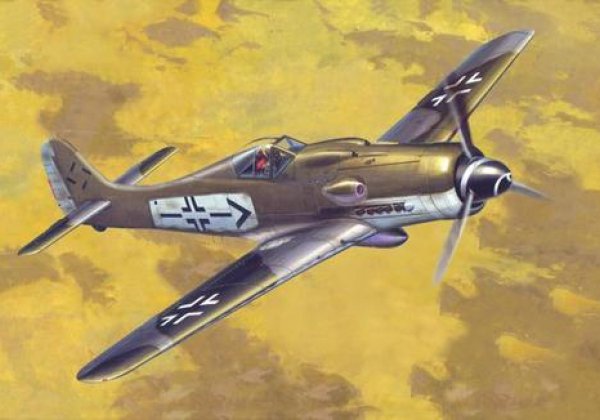 Focke-Wulf Fw 190 D-9 Rudel Focke-Wulf Fw 190 D-9 Rudel von Mistercraft