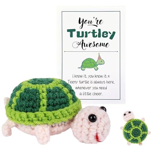 Positive Schildkröte Kuscheltier,Schildkröte Geschenk Deko,Positive Turtle,Mini Lustige Schildkröten Geschenke mit Positiver Karte,Glücksbringer Ermutigungs Pocket Hug für Geburtstag,Party-Dekoration von MniimaLuxe