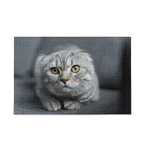 Mnsruu 1000 Teile Puzzle Scottish Fold Cat Puzzles für Erwachsene Kinder Familie von Mnsruu