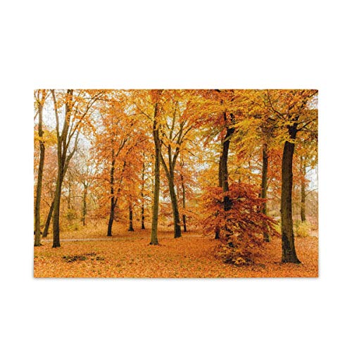Mnsruu Abstrakte Rose Blume Glitzer Weltraum Puzzle Freizeit Kreative Spiele 1000 Teile für Erwachsene Kinder Geschenk Mnsruu Abstrakte Rose Blume Glitzer Weltraum Puzzle Freizeit Kreative Spiele 1000 Teile für Erwachsene Kinder Geschenk von Mnsruu