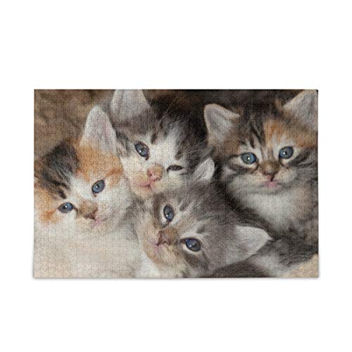 Mnsruu Blue Eye Cat Kitten Puzzle Freizeit Kreative Spiele 1000 Teile für Erwachsene Kinder Geschenk von Mnsruu