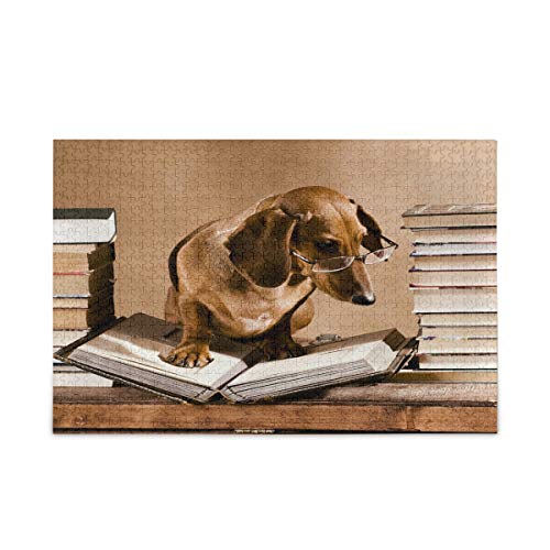 Mnsruu Dackel Professor Buch Bücherwurm Jigsaw Puzzle Freizeit Kreative Spiele 1000 Teile für Erwachsene Kinder Geschenk Mnsruu Dackel Professor Buch Bücherwurm Jigsaw Puzzle Freizeit Kreative Spiele 1000 Teile für Erwachsene Kinder Geschenk von Mnsruu