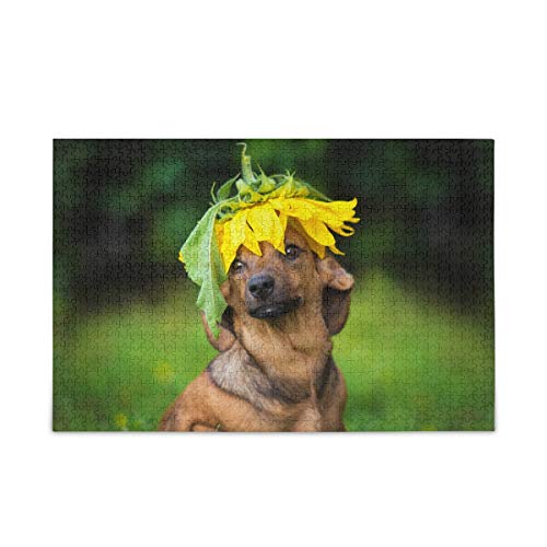 Mnsruu Gelbe Blume Floral Puppy Dackel Hund Puzzle Freizeit Kreative Spiele 500 Teile für Erwachsene Kinder Geschenk Mnsruu Gelbe Blume Floral Puppy Dackel Hund Puzzle Freizeit Kreative Spiele 500 Teile für Erwachsene Kinder Geschenk von Mnsruu