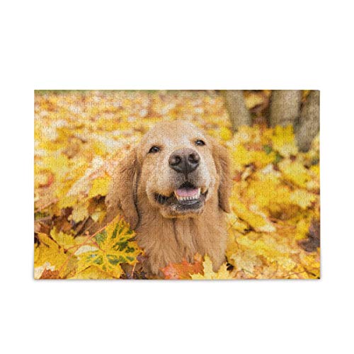 Mnsruu Golden Retriever Hund Ahornblatt Puzzle Freizeit Kreative Spiele 500 Teile für Erwachsene Kinder Geschenk von Mnsruu