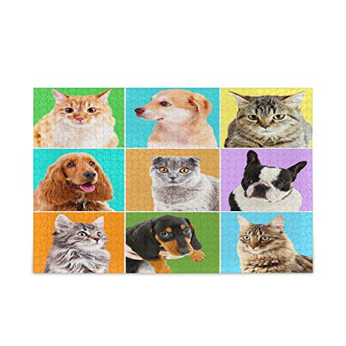Mnsruu Katze Kätzchen Tierkopf Puzzle Freizeit Kreative Spiele 1000 Teile für Erwachsene Kinder Geschenk von Mnsruu
