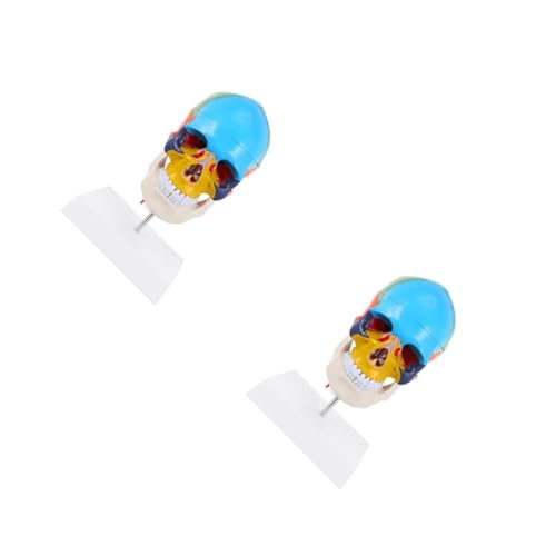 2St Schädelschattierungsmodell Modell des menschlichen Körpers Halloween-Schädeldekoration Schädelmodell Lehrmodell Schädel schaufensterpuppe gefälschtes Schädelkopfmodell PVC Mobestech 2St Schädelschattierungsmodell Modell des menschlichen Körpers Halloween-Schädeldekoration Schädelmodell Lehrmodell Schädel schaufensterpuppe gefälschtes Schädelkopfmodell PVC Mobestech von Mobestech