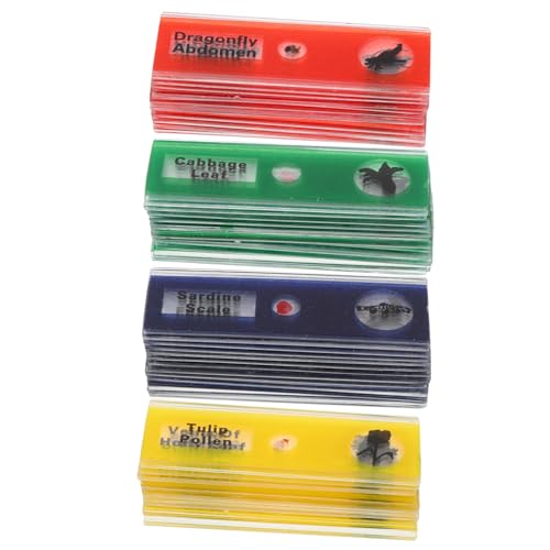 Mobestech 1 Satz Glasrutsche Mikroskop Brille Wissenschaftslaborausrüstung Mikrometer Mikroskopische Objektträger Rutschen Für Telefon Mikroskop Wissenschafts-kit Pvc 48 Stück von Mobestech