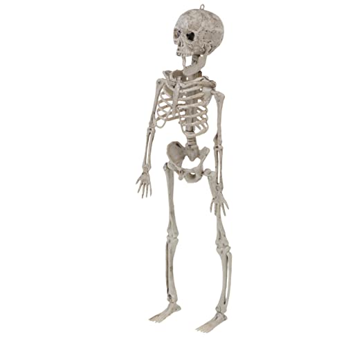 Mobestech 1stk Simuliertes Skelett Skelett Halloween-fake-skelett Skelettmodell Menschliche Skelett-requisiten Gefälschtes Skelett Schädelkopf Gefälschte Skelette Im Freien Plastik Beige von Mobestech