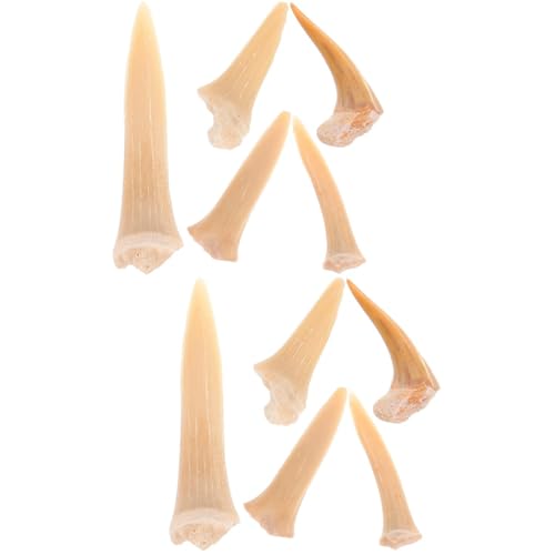 Mobestech 2 Sätze Coole Halskettenanhänger Fisch Süßigkeiten Halskette Kauen Männliche Halskette Haifischzahn Schmuck Meereslebewesen Schmuck Halskette Für Männer Reize 5 Stück * 2 von Mobestech