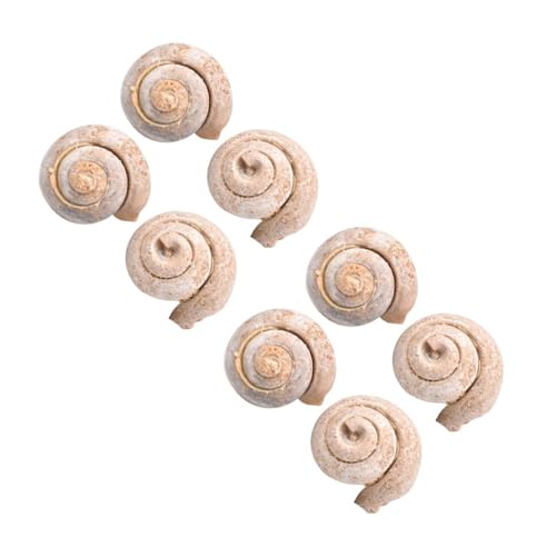 Mobestech 2 Sätze Schneckenfossil Aufkleber Sieb Wissenschaft Dinosaurier Tiere Sichter Lebewesen Pädagogisches Dekoration Lehrmittel Desktop-ornament 4 Stück * 2 Mobestech 2 Sätze Schneckenfossil Aufkleber Sieb Wissenschaft Dinosaurier Tiere Sichter Lebewesen Pädagogisches Dekoration Lehrmittel Desktop-ornament 4 Stück * 2 von Mobestech
