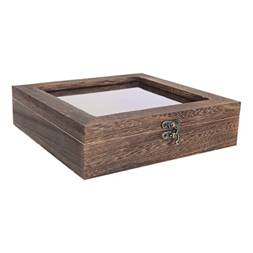Mobestech 3 Stk Kästchen mit Insektenproben Baseball-Halter-Vitrine Probenbetrachter Tierkäfig Zuschauer display box staubschutz Probenbehälter Musterkoffer Holz von Mobestech