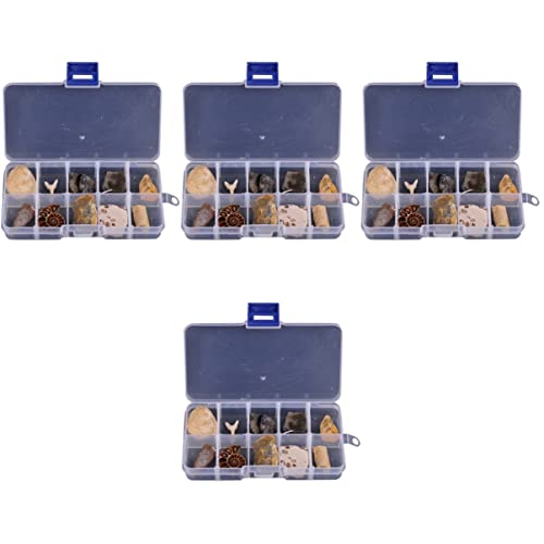Mobestech 4 Sätze Biologische Fossilien Natürlicher Bernstein Felsen Meereslebewesen Feuerstein Wissenschaft Trilobit Dinosaurier Exemplare Science-kit Für Lehre 10 Stück * 4 Mobestech 4 Sätze Biologische Fossilien Natürlicher Bernstein Felsen Meereslebewesen Feuerstein Wissenschaft Trilobit Dinosaurier Exemplare Science-kit Für Lehre 10 Stück * 4 von Mobestech