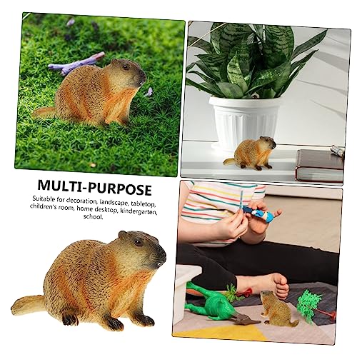 Mobestech Realistisches Erdferkel Modell Figur Deko Leicht Desktop Ornament Pädagogisches Für Natur und Mobestech Realistisches Erdferkel Modell Figur Deko Leicht Desktop Ornament Pädagogisches Für Natur und von Mobestech