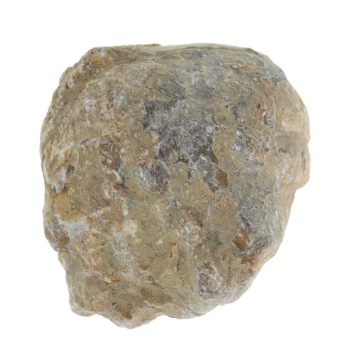 Mobestech Pädagogisches Exemplar Modell Dekoration Geologie-studie Ornament Für Jungen Und Mädchen von Mobestech