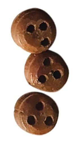 Jungfer, Walnuss, 2,5 mm, 150 Stück Jungfer, Walnuss, 2,5 mm, 150 Stück von Model Expo