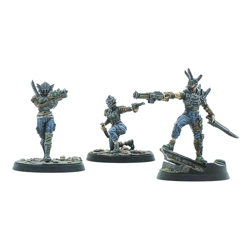 Fallout: Wasteland Warfare - Raiders: Disciples Leaders Fallout: Wasteland Warfare - Raiders: Disciples Leaders von Modiphius
