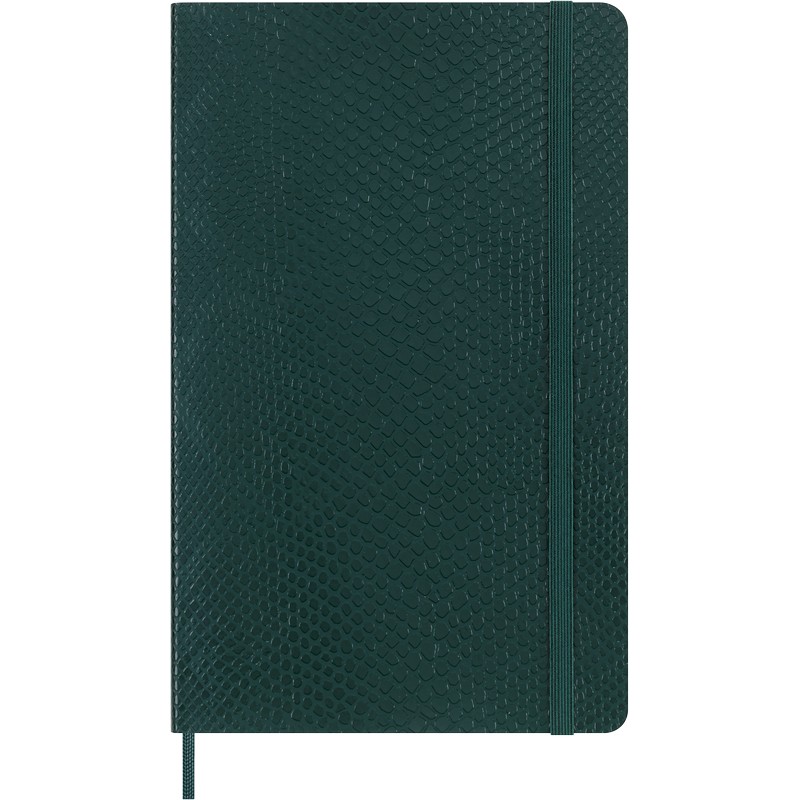 Moleskine Notizbuch Prescious & Ethical Large Softcover Grün liniert Moleskine Notizbuch Prescious & Ethical Large Softcover Grün liniert von Moleskine