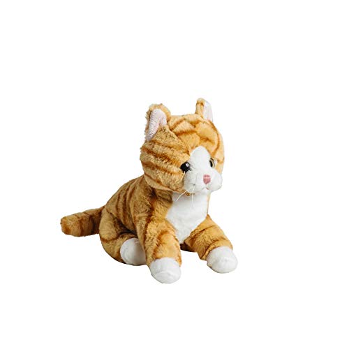 Mollis Kuscheltier - Kuschelkatze - 20 cm - Plüschtier-Katze - Kinder-Kuscheltier - weiches Stofftier für Kinder und Babys (Orange) von Mollis