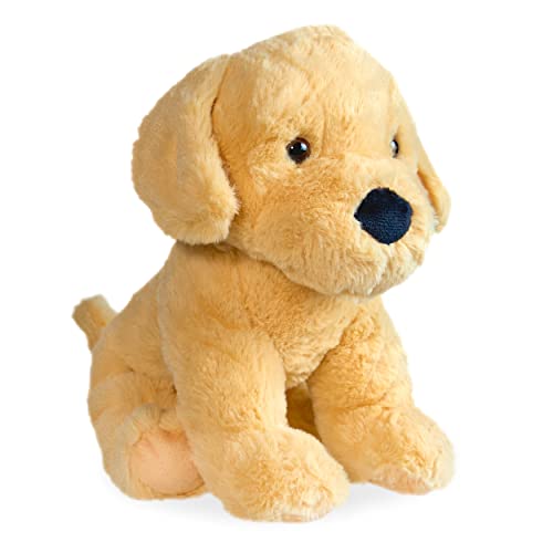 Mollis Kuscheltier - Kuschelhund - 30 cm - Plüschtier-Hund - Kinder-Kuscheltier - weiches Stofftier für Kinder und Babys (Golden Retriever) von Mollis