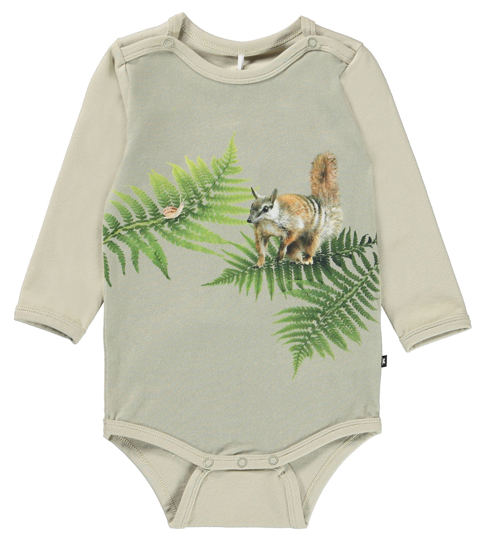 Molo Body l/ä - Foss - Farnbegegnung - Molo - 1 Jahr (80) - Body L/Ä von Molo